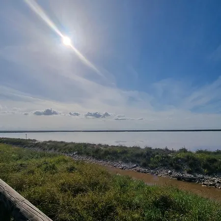 Apartament Lumi